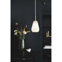 Anoli 1 Pendel Lille Opal
