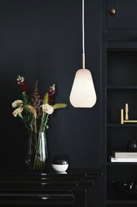 Anoli 1 Pendel Lille Opal