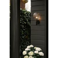Miira Outdoor Wall Lamp Black & Clear Optic