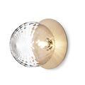 Gold / Clear