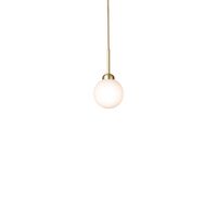 Apiales 1 Hanglamp Geborsteld Messing