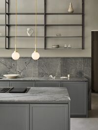 Apiales 1 Hanglamp Geborsteld Messing