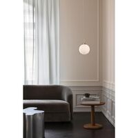 Apiales 1 Large Brushed Brass/Opal