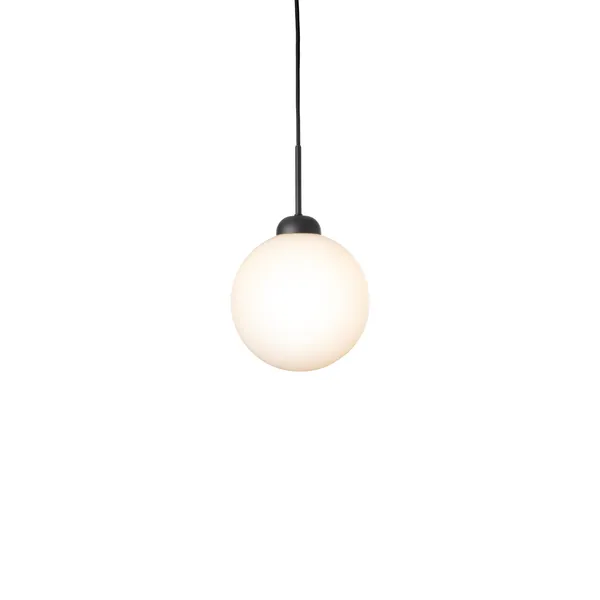 Apiales 1 Large Satin Black/Opal