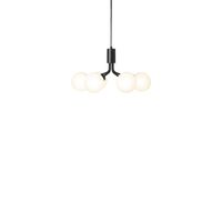 Apiales 6 Lysekrone Satin Sort & Opal