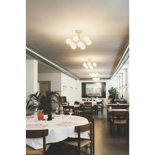 Apiales 9 Ceiling Light Brass and Opal Glass
