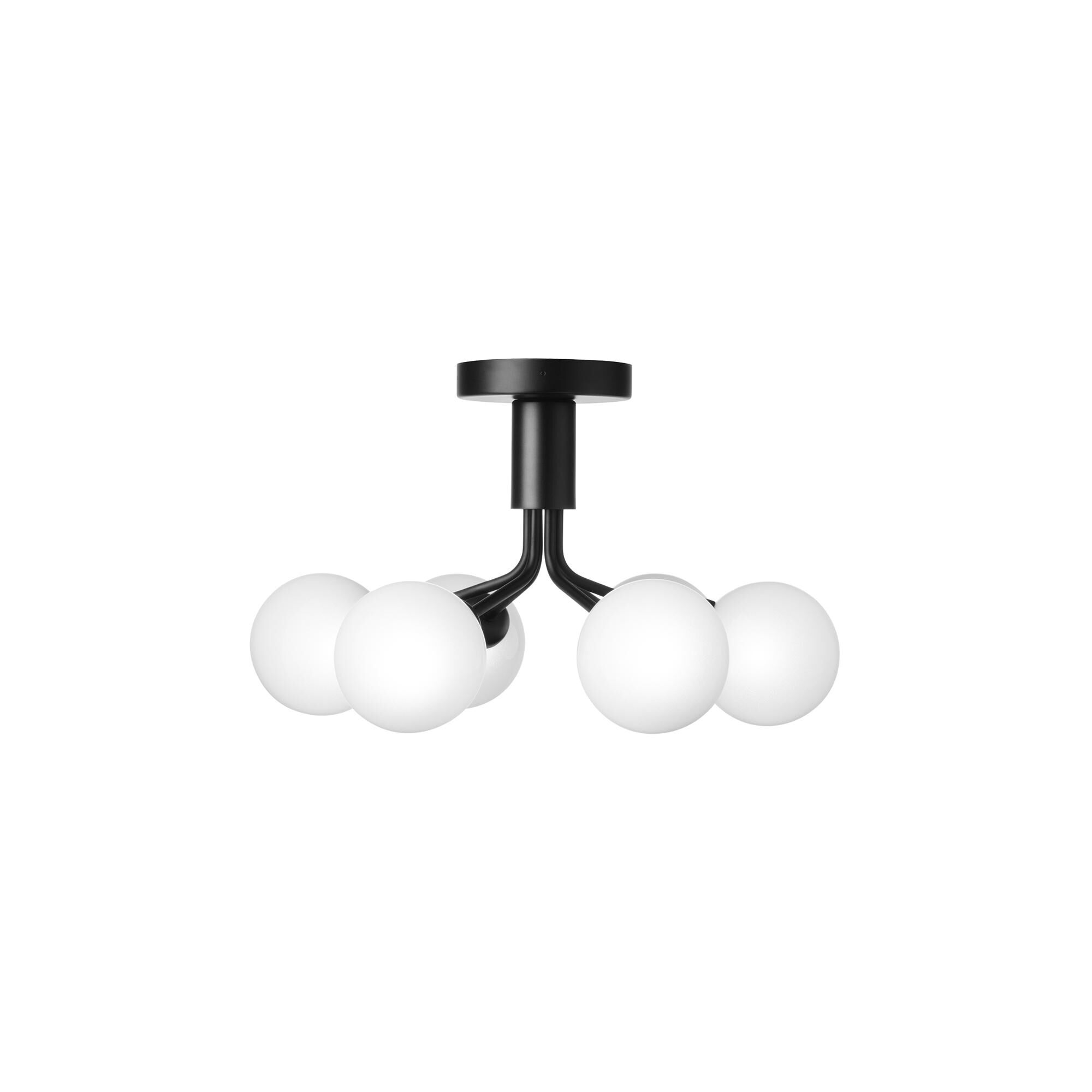 Apiales 6 Taklampa Satin & Opal