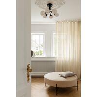 Apiales 6 Ceiling Light Satin Black & Opal