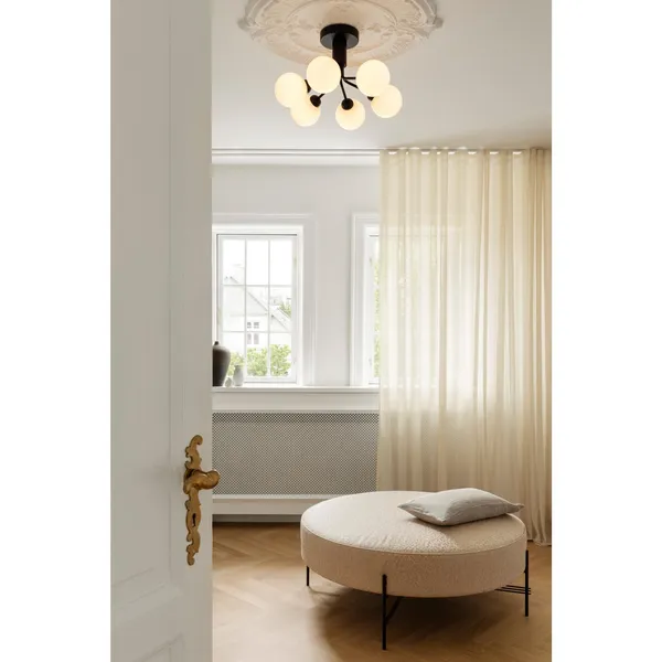 Apiales 6 Ceiling Light Satin Black & Opal