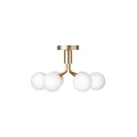 Apiales 6 Ceiling Light Brushed Brass & Opal