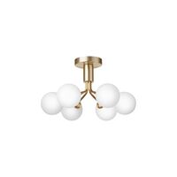 Apiales 6 Ceiling Light Brushed Brass & Opal