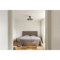 Apiales 6 Ceiling Light Brushed Brass/Optic Gold