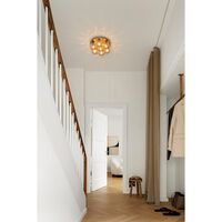 Apiales 7 Loftlampe Børstet Messing/Guld