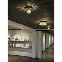 Apiales 7 Loftlampe Børstet Messing/Guld