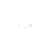Rosette 1 White