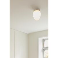 Rizzatto 171 Ceiling Light Satin Silver/Opal