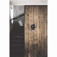 VV Cinquanta Wall Light Black/Red