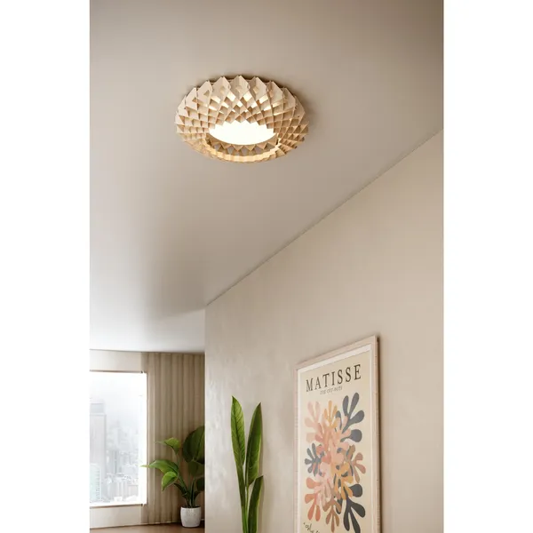 Signature 45 Ceiling Light Black
