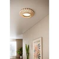 Signature 45 Ceiling Light Black