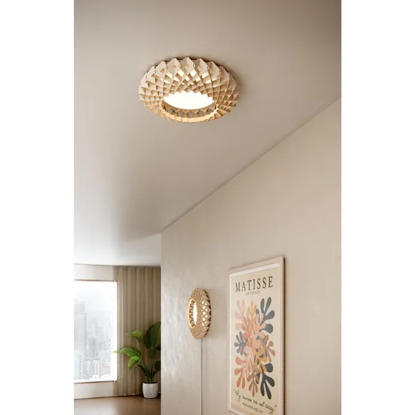 Signature 45 Ceiling Light Black