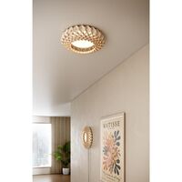 Signature 45 Ceiling Light Birch
