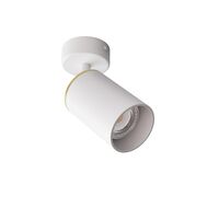 Edgespot Single 65 Spot White/Brass