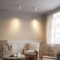 Edgespot Single 65 Spot White/Brass