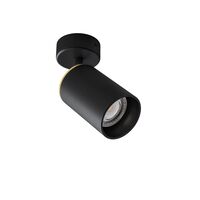 Black / Brass