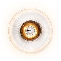 New Wave Optic XL Wall Lamp Transparent