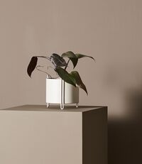 Pedestal Potted Plant Small Black