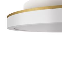 Plafon 20 Plafondlamp Wit/Messing