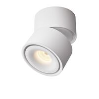 Flipspot 100 Tunable White Spot White