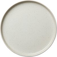 BON Plate 28 Steam