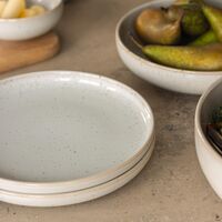 BON Plate 22 Steam