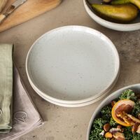 BON Plate 22 Steam