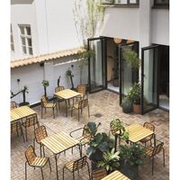 Vig Outdoor Chair Black/Robinia