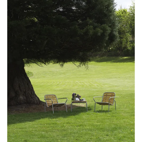Vig Armchair Black/Robinia