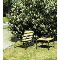 Vig Armchair Dark Green/Robinia