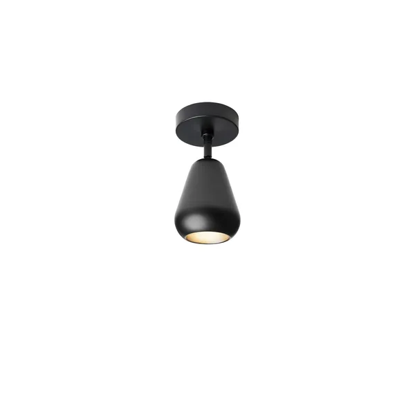 Anoli Spot Surface Sort