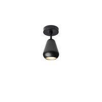 Anoli Spot Surface Sort
