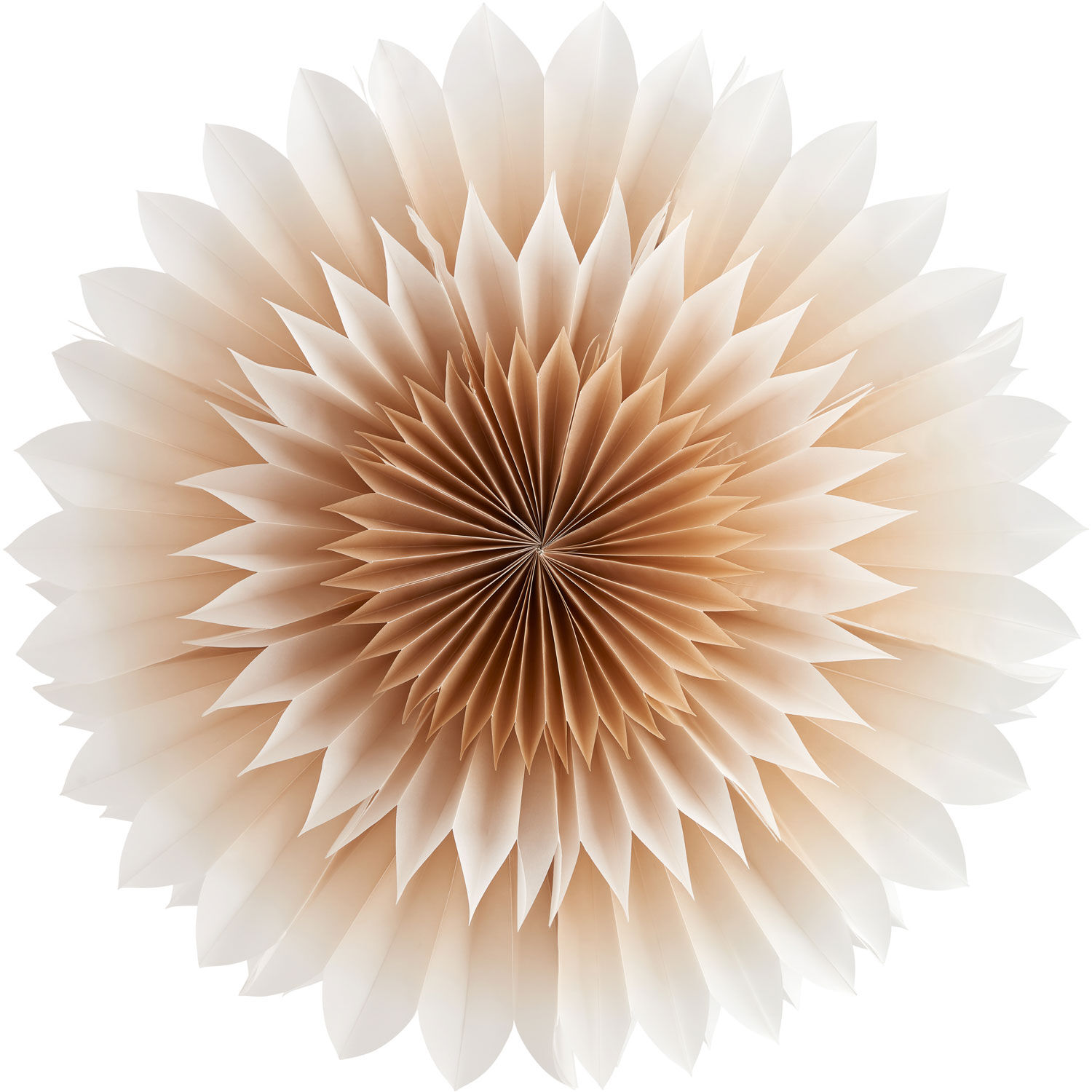 Lily Étoile en Papier 56 Golden Beige