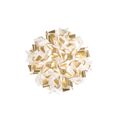 White / Gold