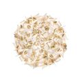 White / Gold