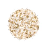 White / Gold