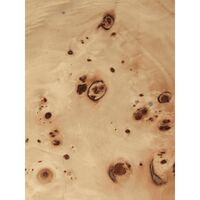 Burl Couchtisch Natur