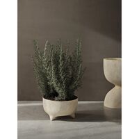 Evoke Pot H27 Sable Sable