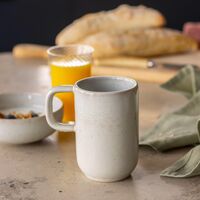 BON Dinnerware Starter Set Set of 16 Steam