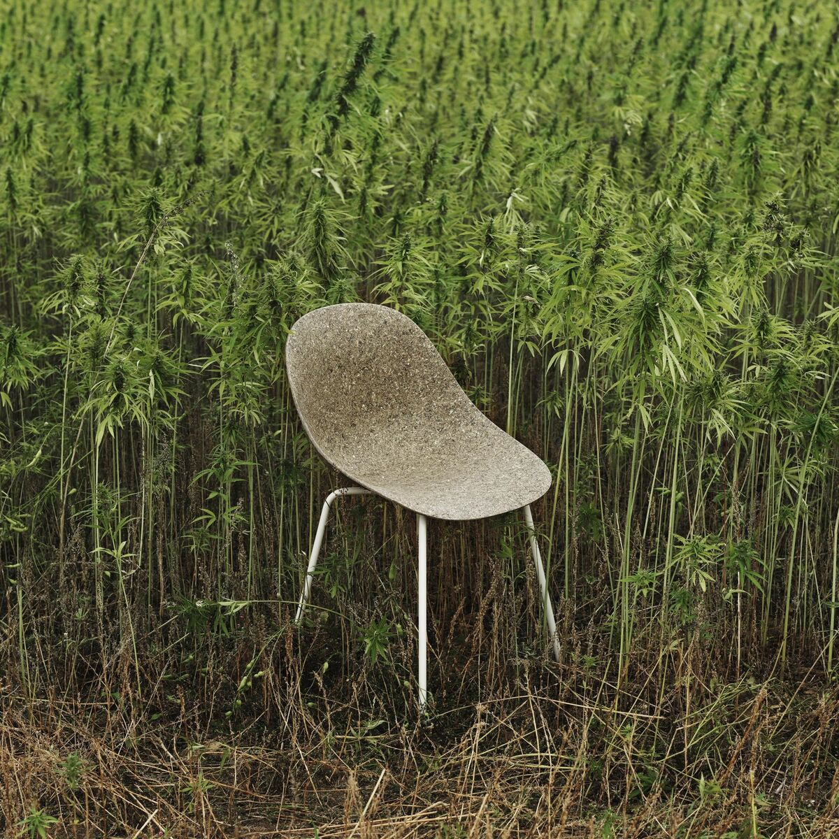 Silla de Comedor Mate Crema/ Acero/Cáñamo
