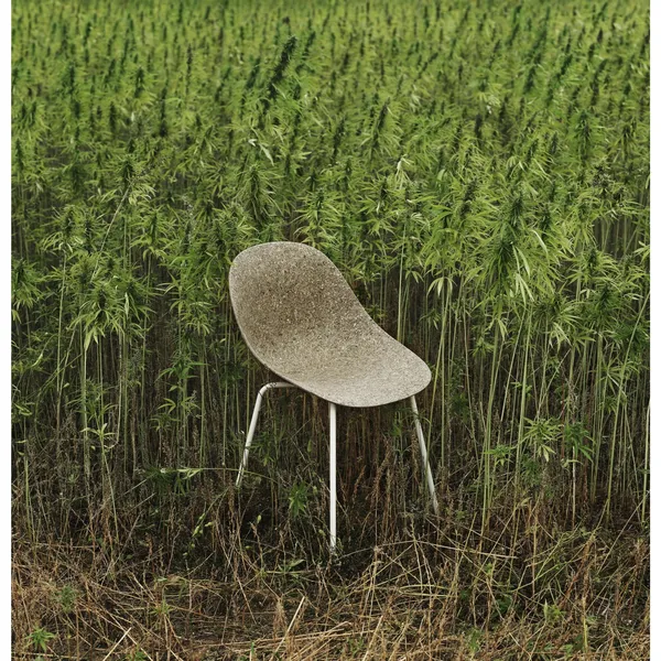 Matt Dining Chair Cream/Steel/Seaweed