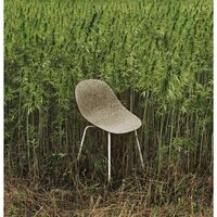 Matt Dining Chair Cream/Steel/Seaweed